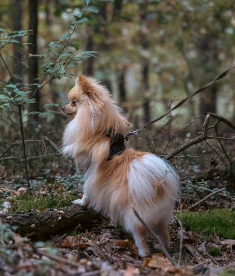 mateusz-suski-5ZtywE2hS8Y-unsplash mateusz-suski-5ZtywE2hS8Y-unsplash